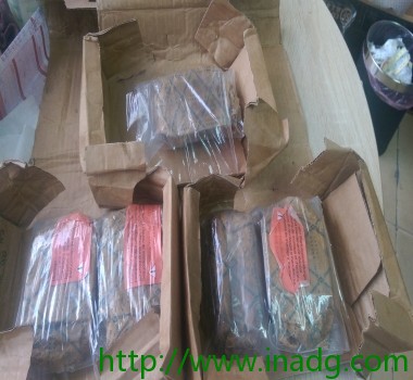 德国INA滑块RWU55EL